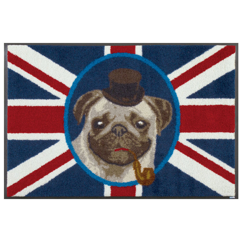 British Pug