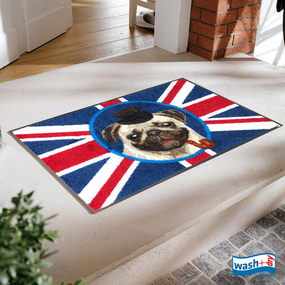 British Pug