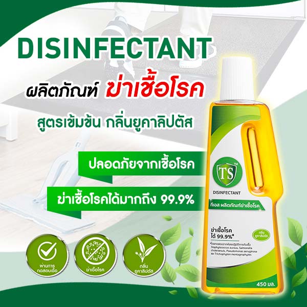 TS Disinfectant [450 ML]